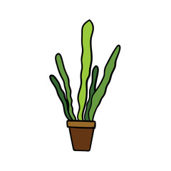 Vector illustration of cactus in foral pot. Houseplant on white background.