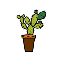 Vector illustration of cactus in foral pot. Houseplant on white background.