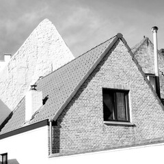 tiled roofs of houses