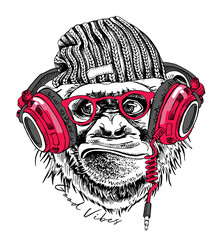 Funny Monkey in a hipster knitted hat, in a glasses and in a pink headphones. Good vibes - lettering quote. Humor card, t-shirt composition, hand drawn style print. Vector illustration. © Afishka
