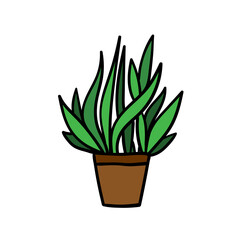 House plant in floral pot. Vector illustration.