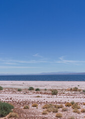 View of the Salton Sea beach with blue sky and water in Mecca, California.
