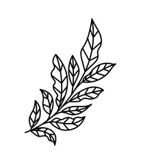 Fototapeta na wymiar minimalist tattoo of a plant in a white background