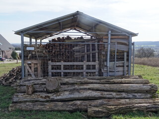 Holz