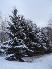 Ilmenau und Umgebung im Februar 2021