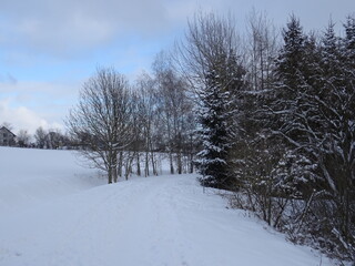 Ilmenau und Umgebung im Februar 2021