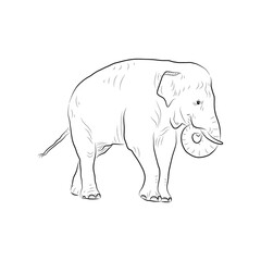 Sketch of eating elephant. Hand made.