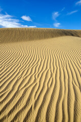 Ripples in the sand, Mesquite Flat Sand Dunes,  Death Valley, California