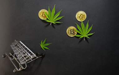 Cannabis leaves with golden bitcoins. Marijuana cryptocurrency flat lay with shopping cart