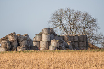 Strohrollen auf dem Feld