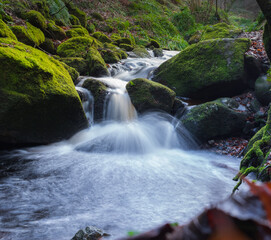 Fototapeta na wymiar Forest river with waterfall in Wicklow moutains, Ireand.