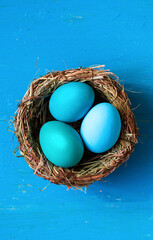colored deep blue azur Easter eggs in nest top view background, selective focus image. Happy Easter card	

