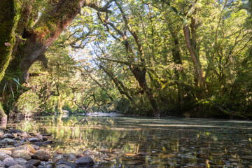 Milford track section along the Clinton River, New Zealand
