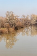 River landscape, bare trees in early spring along the water on a sunny day