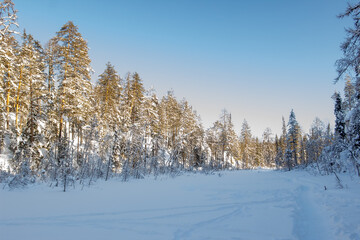 Nature Reserve of Russia, Arkhangelsk region Golubino.