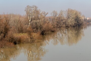 River landscape, bare trees in early spring along the water on a sunny day