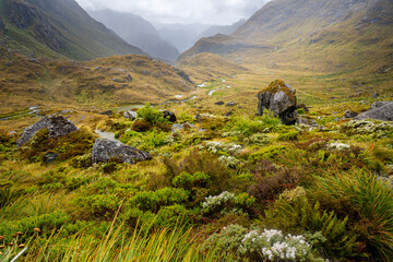Route Burn Valley, Routeburn Track, New Zealand
