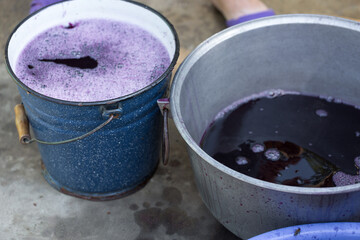 The winemaker pours grape juice for transportation into barrels.