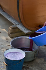 The winemaker pours grape juice for transportation into barrels.