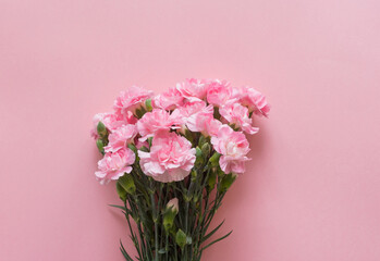 Fototapeta na wymiar High angle closeup view of pink carnations on pastel background (selective focus)