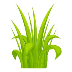 Green grass in cartoon style, bright herb isolated on white background. Season natural wild plant, design element, game asset. 