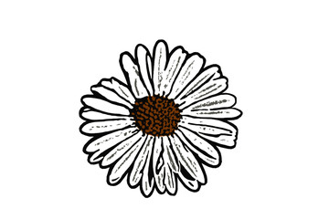 Vector graphic closeup of a daisy blossom