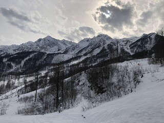 Fototapeta premium snow covered mountains
