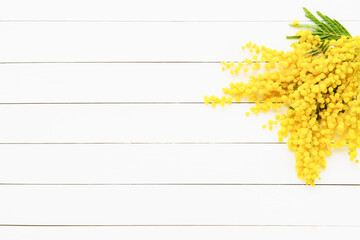 Mimosa flowers bouquet on a white wooden background. Easter, Mothers Day, Women's day concept. Copy space, top view.