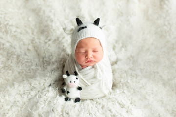 newborn girl. photo session of newborns. the baby is dressed in the image of a cow. symbol of 2021