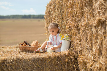 Naklejka na ściany i meble a healthy childhood in harmony with nature. happy little baby in folk clothes sits on a wheat field with a jar of fresh milk. the sun's rays are reflected in a jar of fresh, tasty milk. fresh bread.