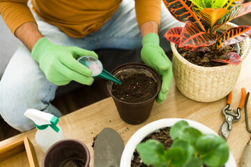 Adult man using fertilizer on his houseplants