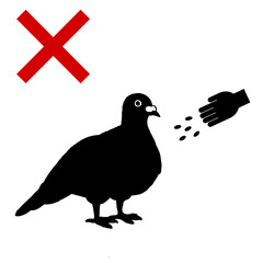 餌付け禁止ハト３