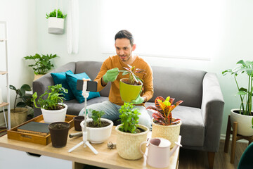 Latin man holding a houseplant and video calling a friend