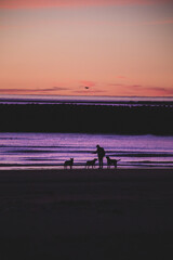Fototapeta premium sunset on the beach