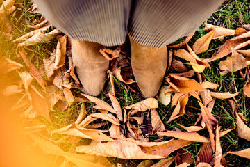 Shoes on a background of grass covered with tree leaves