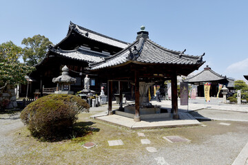 Fototapeta premium 春の三井寺 観音堂 滋賀県大津市