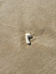 White sand on the beach