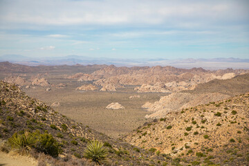 Fototapeta premium desert landscape