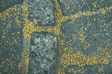 Fototapeta premium Street stone gray tiles with illuminating yellow inflorescences top view. Spring textured background in trendy colors of the year 2021
