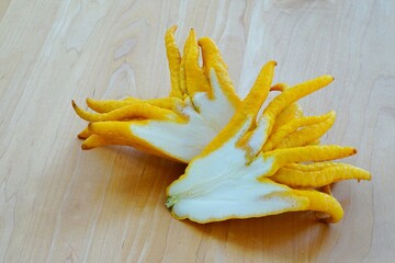 A fresh yellow Buddha’s Hand (Citrus medica var. sarcodactylis) or Fingered citron cut in half