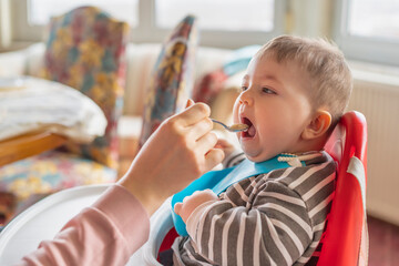Young mother feeding her cute adorable baby boy, whom sitting on the highchair, with a spoon. Family, food, child, eating, parenthood and motherhood concept. Lifestyle and real people concept.