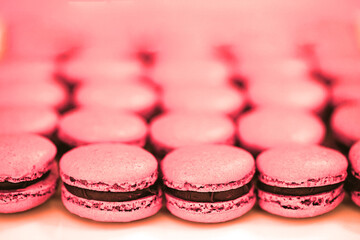 Fototapeta premium Colorful homemade macaron cookies filled with ganache cream