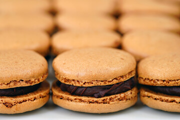French macaron cookies filled with chocolate ganache cream