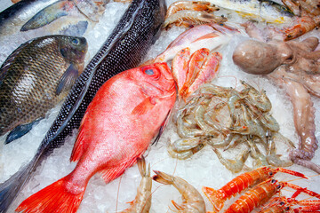 Seafood on ice at the fish market, fishmonger
