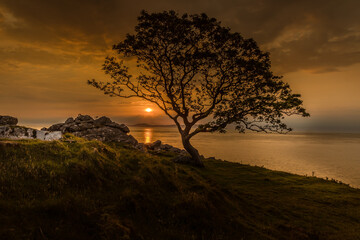 Fototapeta na wymiar Lone tree silhouete at Sunrise in Murlough Bay, Glens of Antrim, causeway coast and glens, Ballycastle, Northern Ireland, looking over towards the Mull of Kintyre