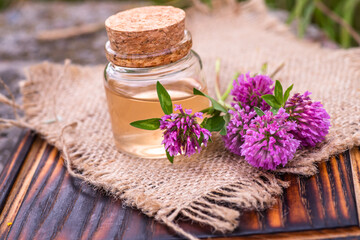 Obraz na płótnie Canvas Trifolium pratense, red clover. Collect valuable flowers from moment of flowering, and start drying. Decoction of clover and infusion in clear bottle with cork. alternative medicine. Herbal concept