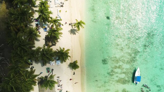 Exotic island beach with coconut palm trees and beautiful coastline and sea, aerial video 4k