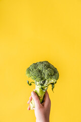 Fototapeta na wymiar Hand of unknown person hold Fresh organic broccoli over the yellow background with copy space - modern healthy eating vegetarian or vegan food concept