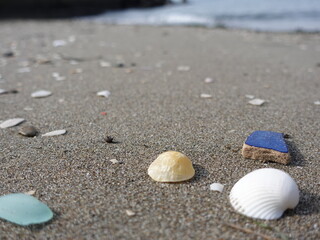 Fototapeta na wymiar 日本の海岸の風景　貝殻　ガラス片