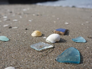 Fototapeta na wymiar 日本の海岸の風景　貝殻　ガラス片